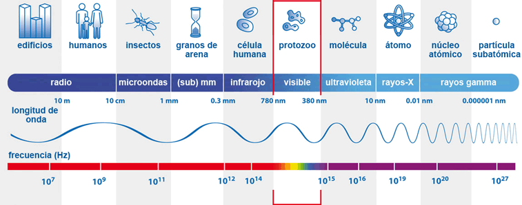 Espectro de longitud de onda